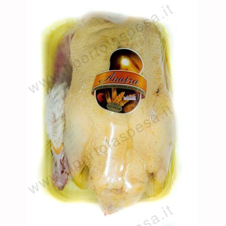 Anatra con testa e zampe kg.1,8 circa