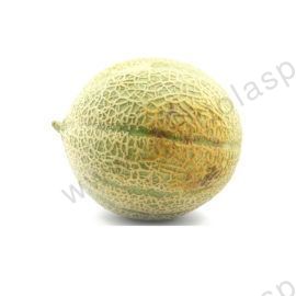 Melone retato kg.1,4 circa