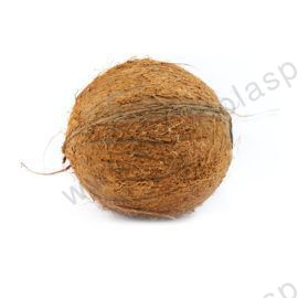 Noce di cocco gr.700 circa