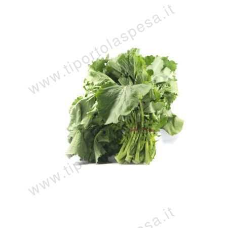 Cime di rapa kg.1 circa - immagine 2