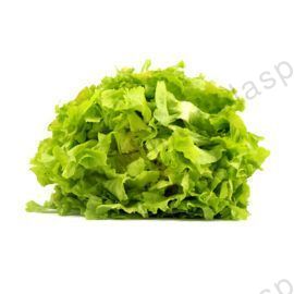 Insalata scarola gr.800 circa
