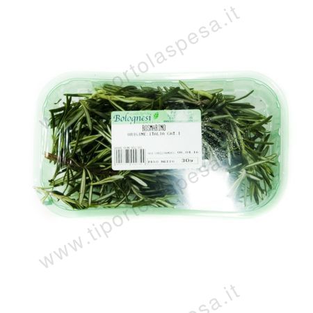 Rosmarino in vaschetta Bolognesi