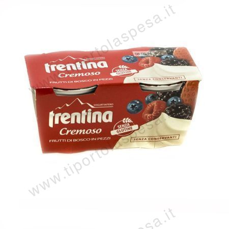Yogurt frutti bosco pezzi Trentina gr.125 x 2