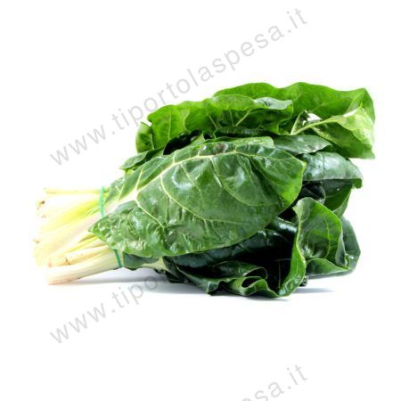 Bietola a coste kg.1 circa