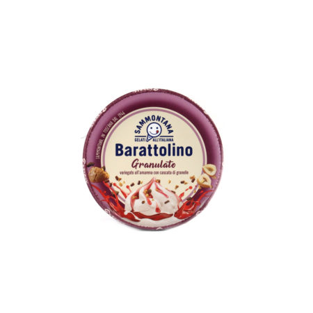 Barattolo gelato granulato amarena Sammontana Le delizie gr.500 - immagine 3