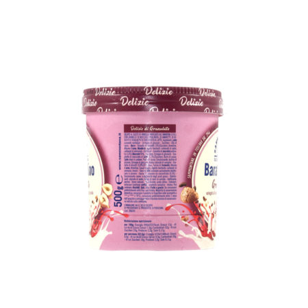 Barattolo gelato granulato amarena Sammontana Le delizie gr.500 - immagine 4