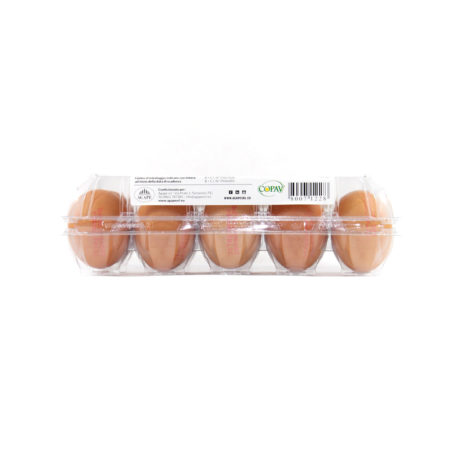 Uova fresche Copav x 10 misura media 53/63 - immagine 2