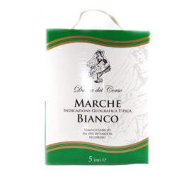 Vino marche bianco pecorino igt Dama del Corso lt.5