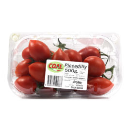 Pomodori Piccadilly gr.500 linea Coal