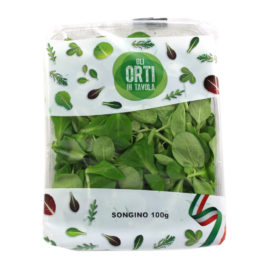 Songino in vaschetta Sab gr.100