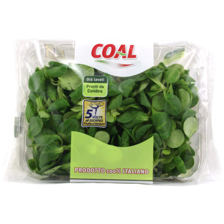 Valeriana gr.100 Linea Coal
