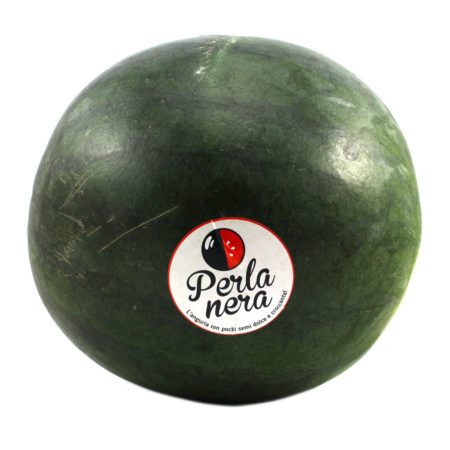 Anguria Perla Nera kg.5 circa