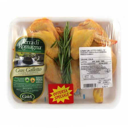 Gran galletto grill Guidi gr.590 circa