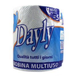 Bobina multiuso Dayly 2 veli 250 strappi