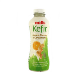 Yogurt da bere Milk Kefir BIO arancia zenzero e cardamomo gr.480