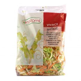 Ortoromi insalata vivace gr.200